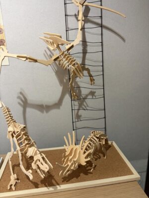 image1_2.jpeg